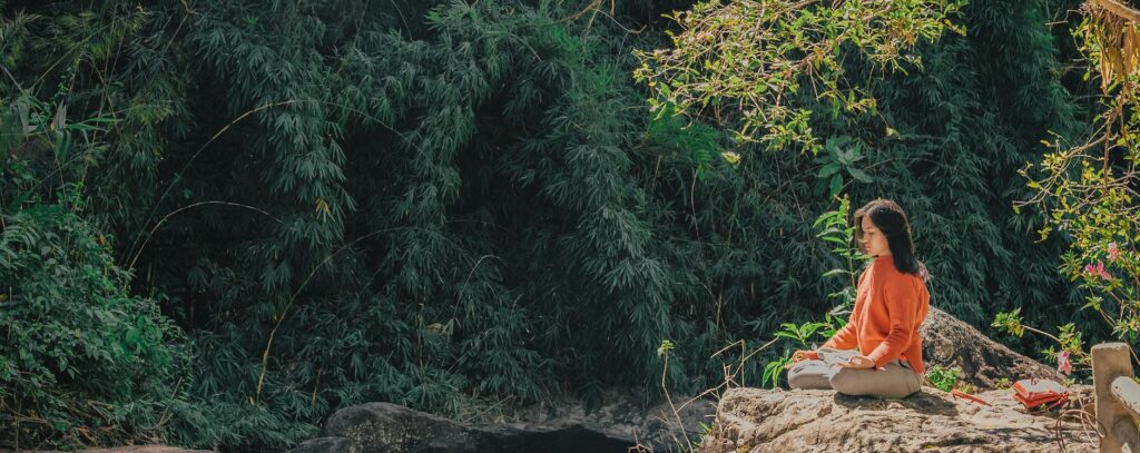 woman sitting on brown stone near green leaf trees at daytime